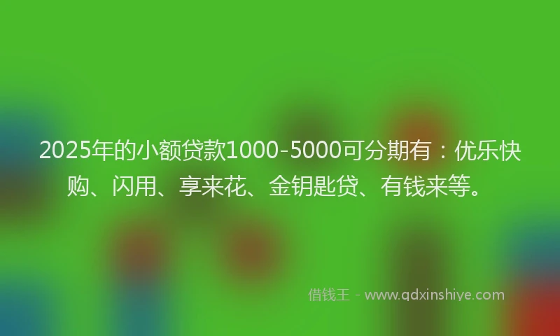 2025年的小额贷款1000-5000可分期有：优乐快购、闪用、享来花、金钥匙贷、有钱来等。
