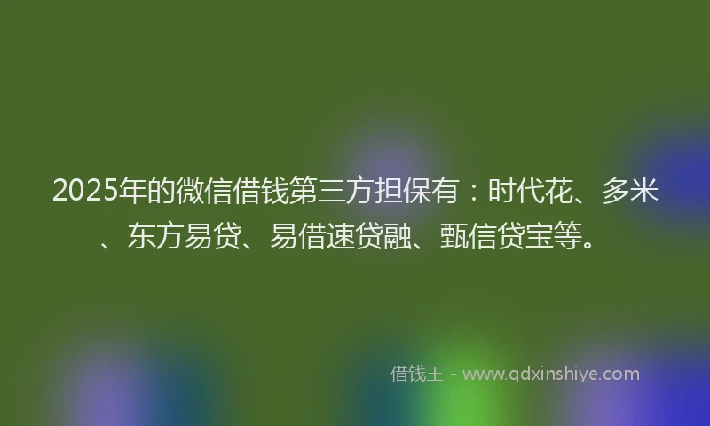 2025年的微信借钱第三方担保有：时代花、多米、东方易贷、易借速贷融、甄信贷宝等。
