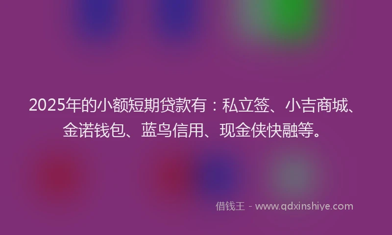 2025年的小额短期贷款有：私立签、小吉商城、金诺钱包、蓝鸟信用、现金侠快融等。