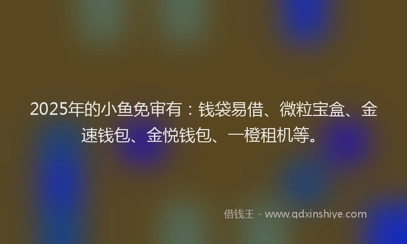 2025年的小鱼免审有：钱袋易借、微粒宝盒、金速钱包、金悦钱包、一橙租机等。