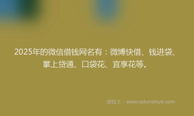 2025年的微信借钱网名有：微博快借、钱进袋、掌上贷通、口袋花、宜享花等。