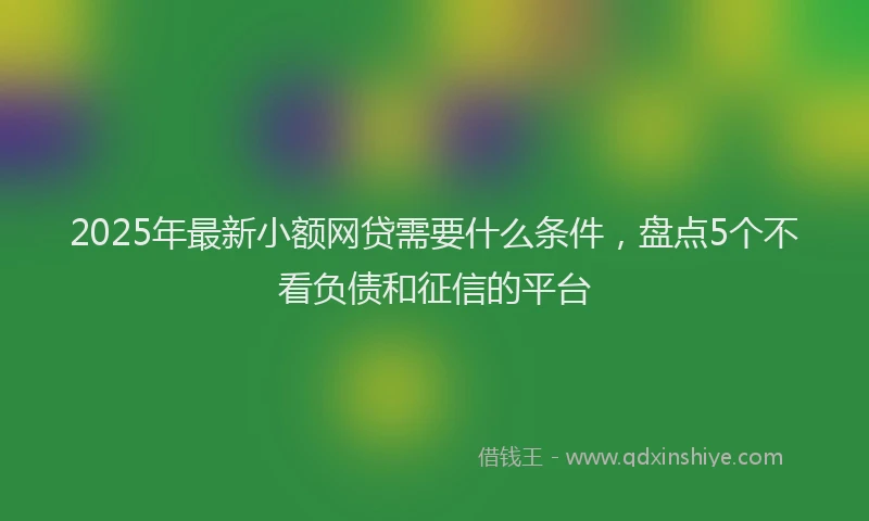 2025年最新小额网贷需要什么条件，盘点5个不看负债和征信的平台