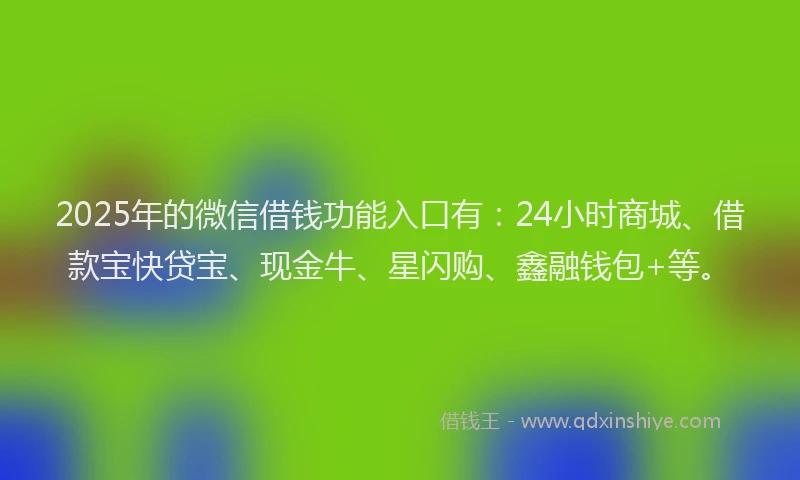 2025年的微信借钱功能入口有：24小时商城、借款宝快贷宝、现金牛、星闪购、鑫融钱包+等。