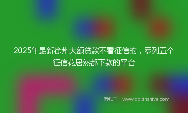 2025年最新徐州大额贷款不看征信的，罗列五个征信花居然都下款的平台