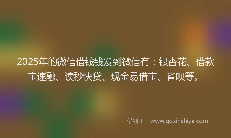 2025年的微信借钱钱发到微信有：银杏花、借款宝速融、读秒快贷、现金易借宝、省呗等。