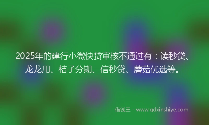2025年的建行小微快贷审核不通过有：读秒贷、龙龙用、桔子分期、信秒贷、蘑菇优选等。