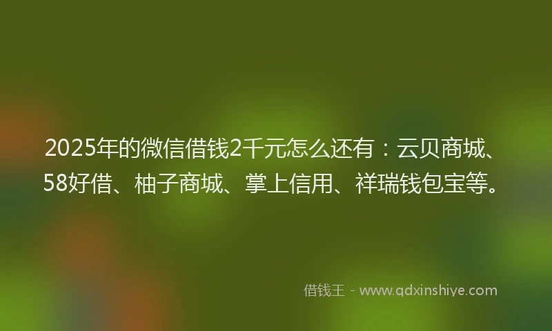 2025年的微信借钱2千元怎么还有：云贝商城、58好借、柚子商城、掌上信用、祥瑞钱包宝等。