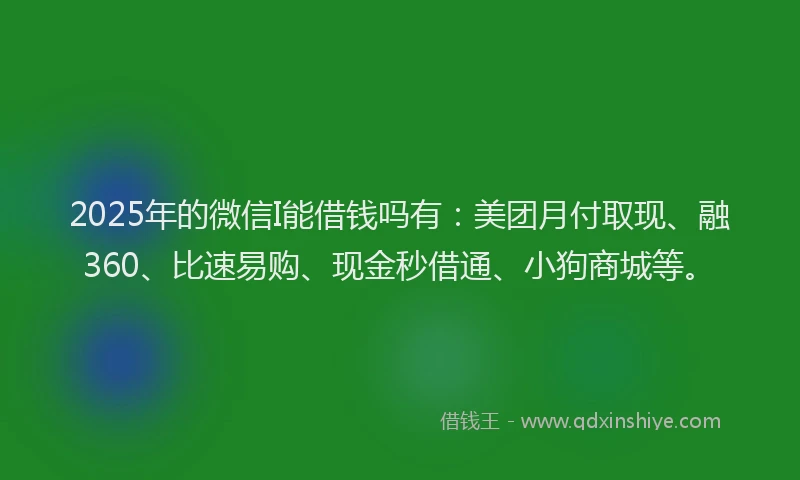 2025年的微信I能借钱吗有：美团月付取现、融360、比速易购、现金秒借通、小狗商城等。