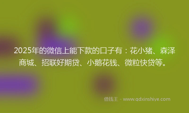 2025年的微信上能下款的口子有：花小猪、森泽商城、招联好期贷、小鹅花钱、微粒快贷等。