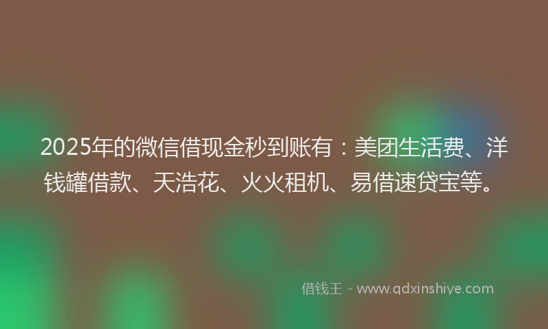 2025年的微信借现金秒到账有：美团生活费、洋钱罐借款、天浩花、火火租机、易借速贷宝等。
