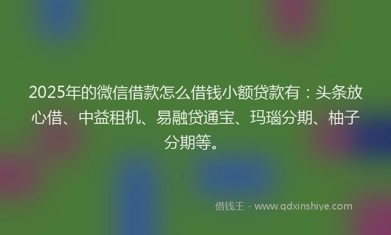 2025年的微信借款怎么借钱小额贷款有：头条放心借、中益租机、易融贷通宝、玛瑙分期、柚子分期等。