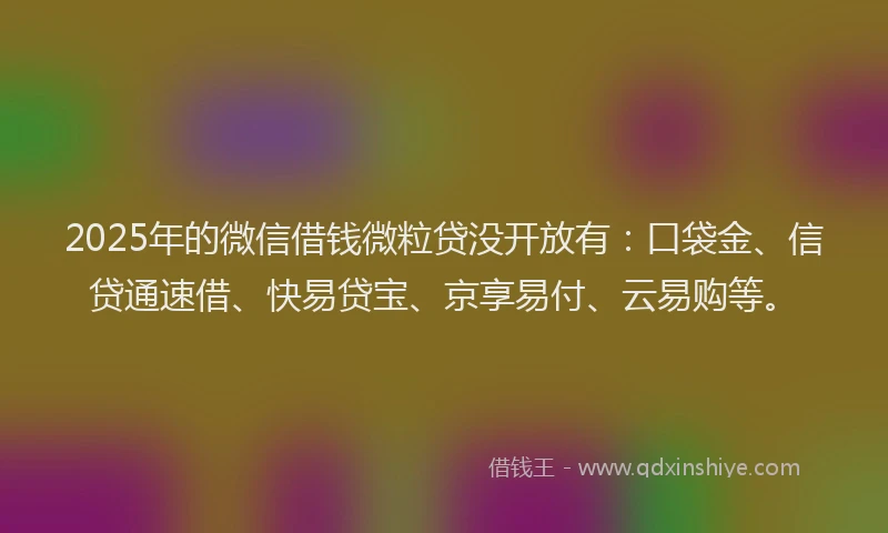 2025年的微信借钱微粒贷没开放有：口袋金、信贷通速借、快易贷宝、京享易付、云易购等。
