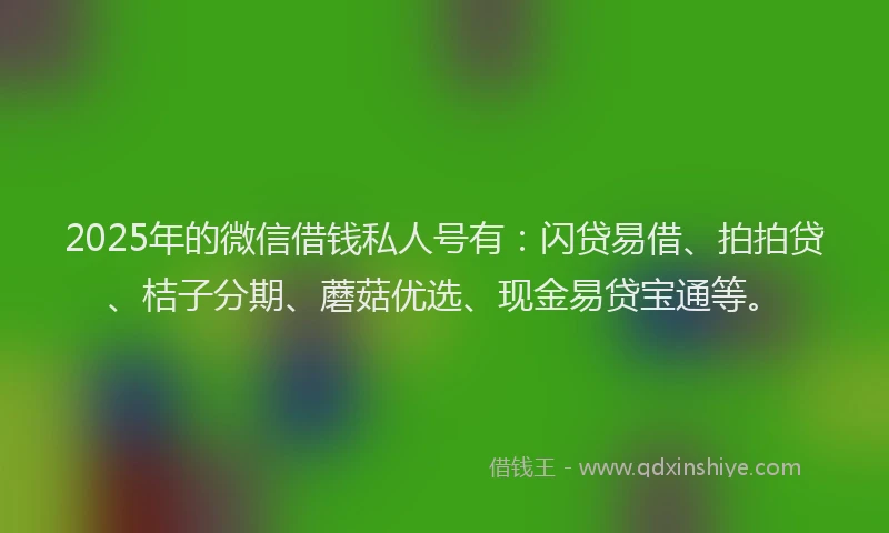 2025年的微信借钱私人号有：闪贷易借、拍拍贷、桔子分期、蘑菇优选、现金易贷宝通等。