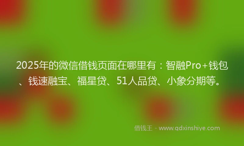 2025年的微信借钱页面在哪里有：智融Pro+钱包、钱速融宝、福星贷、51人品贷、小象分期等。