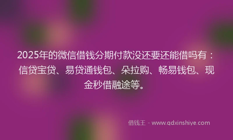 2025年的微信借钱分期付款没还要还能借吗有：信贷宝贷、易贷通钱包、朵拉购、畅易钱包、现金秒借融途等。
