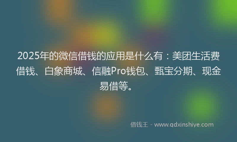 2025年的微信借钱的应用是什么有：美团生活费借钱、白象商城、信融Pro钱包、甄宝分期、现金易借等。