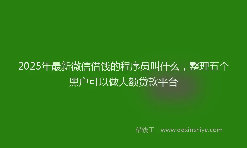 2025年最新微信借钱的程序员叫什么，整理五个黑户可以做大额贷款平台