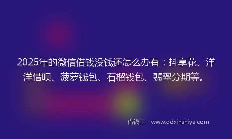 2025年的微信借钱没钱还怎么办有：抖享花、洋洋借呗、菠萝钱包、石榴钱包、翡翠分期等。