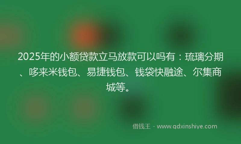 2025年的小额贷款立马放款可以吗有：琉璃分期、哆来米钱包、易捷钱包、钱袋快融途、尔集商城等。