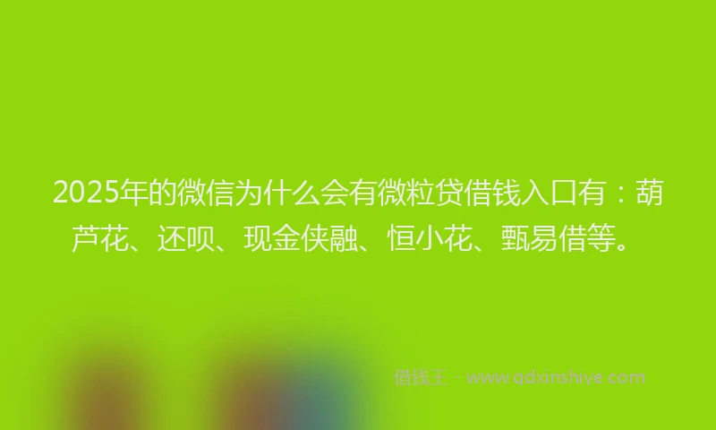 2025年的微信为什么会有微粒贷借钱入口有：葫芦花、还呗、现金侠融、恒小花、甄易借等。