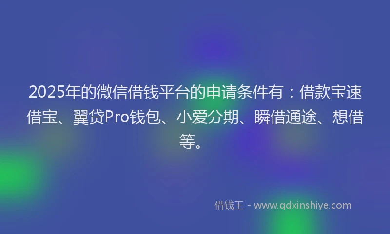 2025年的微信借钱平台的申请条件有：借款宝速借宝、翼贷Pro钱包、小爱分期、瞬借通途、想借等。