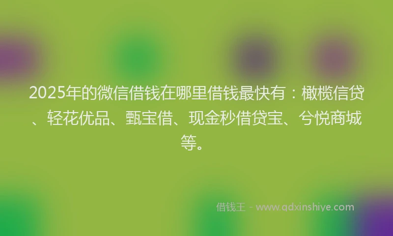 2025年的微信借钱在哪里借钱最快有：橄榄信贷、轻花优品、甄宝借、现金秒借贷宝、兮悦商城等。