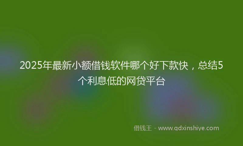 2025年最新小额借钱软件哪个好下款快，总结5个利息低的网贷平台