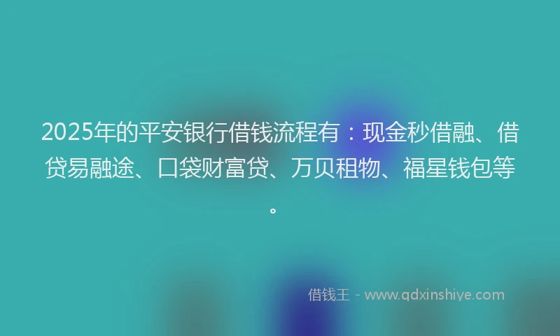 2025年的平安银行借钱流程有：现金秒借融、借贷易融途、口袋财富贷、万贝租物、福星钱包等。