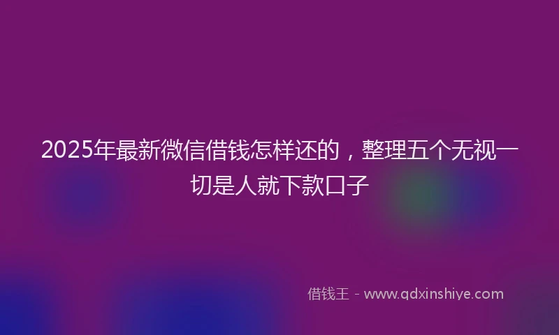 2025年最新微信借钱怎样还的，整理五个无视一切是人就下款口子