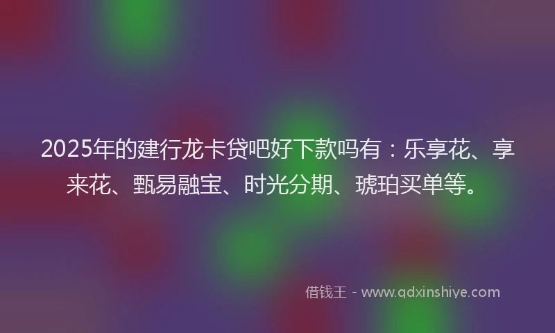 2025年的建行龙卡贷吧好下款吗有：乐享花、享来花、甄易融宝、时光分期、琥珀买单等。