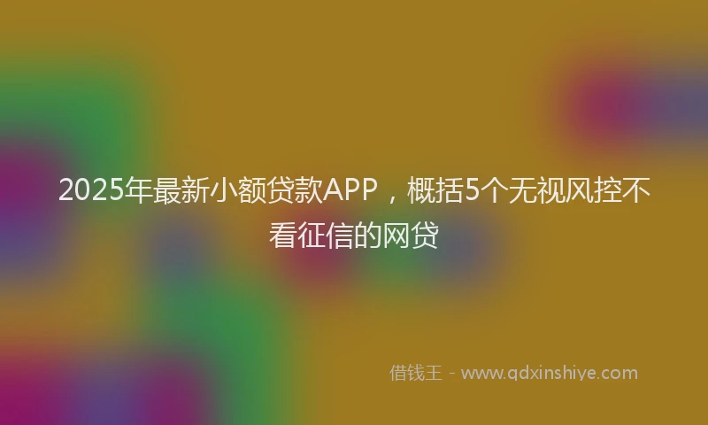 2025年最新小额贷款APP，概括5个无视风控不看征信的网贷