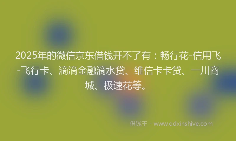 2025年的微信京东借钱开不了有：畅行花-信用飞-飞行卡、滴滴金融滴水贷、维信卡卡贷、一川商城、极速花等。