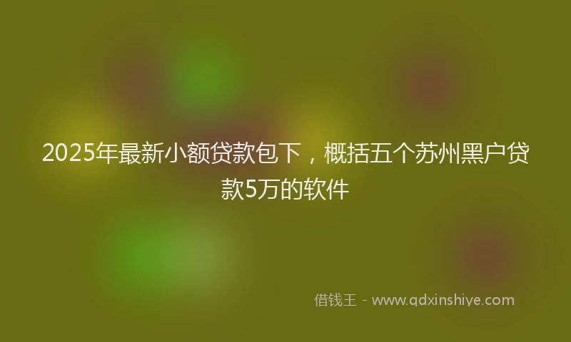 2025年最新小额贷款包下，概括五个苏州黑户贷款5万的软件