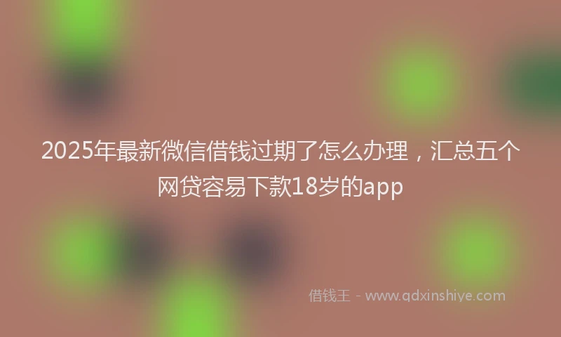 2025年最新微信借钱过期了怎么办理，汇总五个网贷容易下款18岁的app