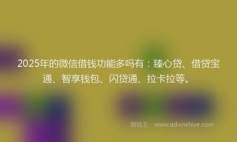 2025年的微信借钱功能多吗有：臻心贷、借贷宝通、智享钱包、闪贷通、拉卡拉等。