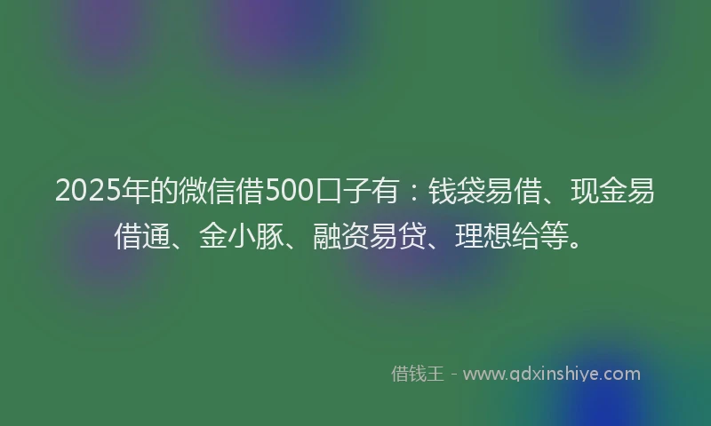 2025年的微信借500口子有：钱袋易借、现金易借通、金小豚、融资易贷、理想给等。