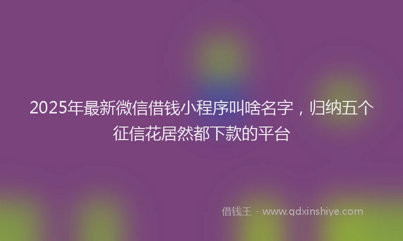 2025年最新微信借钱小程序叫啥名字，归纳五个征信花居然都下款的平台