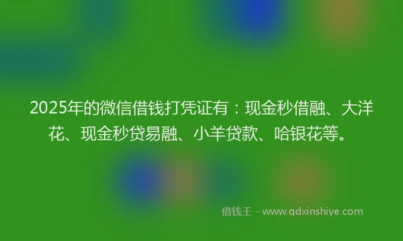 2025年的微信借钱打凭证有：现金秒借融、大洋花、现金秒贷易融、小羊贷款、哈银花等。