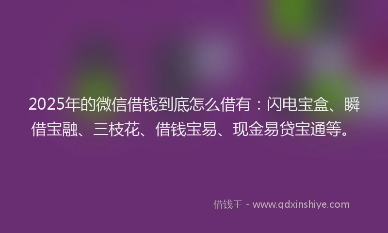 2025年的微信借钱到底怎么借有：闪电宝盒、瞬借宝融、三枝花、借钱宝易、现金易贷宝通等。