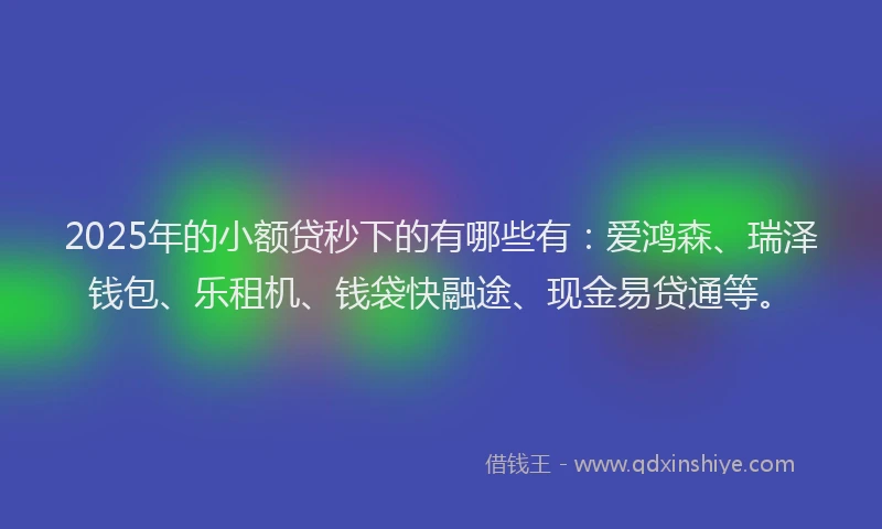 2025年的小额贷秒下的有哪些有：爱鸿森、瑞泽钱包、乐租机、钱袋快融途、现金易贷通等。