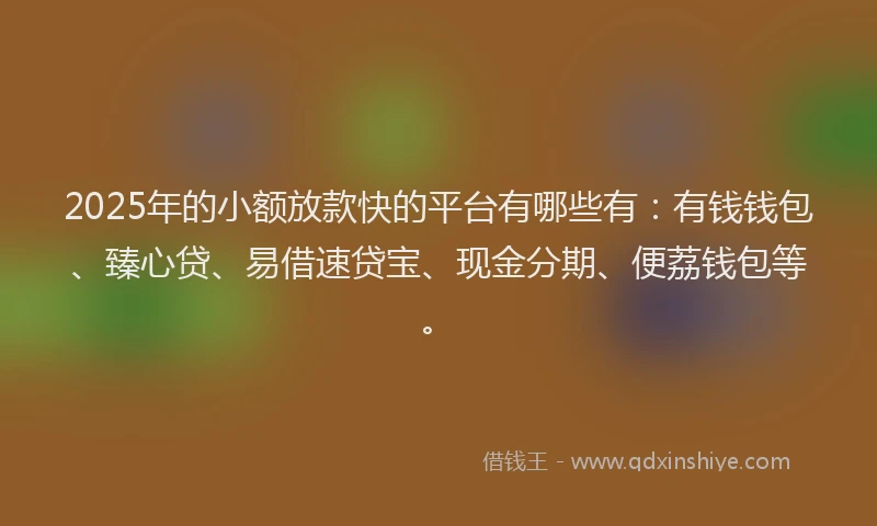 2025年的小额放款快的平台有哪些有:有钱钱包、臻心贷、易借速贷宝、现金分期、便荔钱包等。