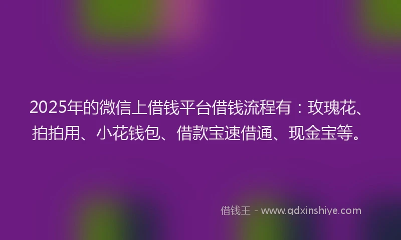2025年的微信上借钱平台借钱流程有：玫瑰花、拍拍用、小花钱包、借款宝速借通、现金宝等。