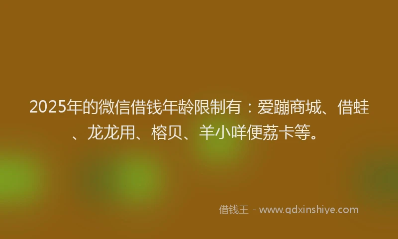2025年的微信借钱年龄限制有：爱蹦商城、借蛙、龙龙用、榕贝、羊小咩便荔卡等。