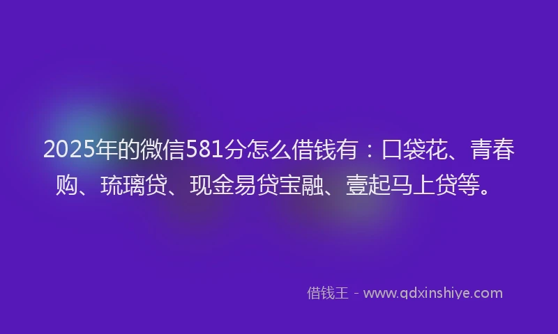2025年的微信581分怎么借钱有：口袋花、青春购、琉璃贷、现金易贷宝融、壹起马上贷等。