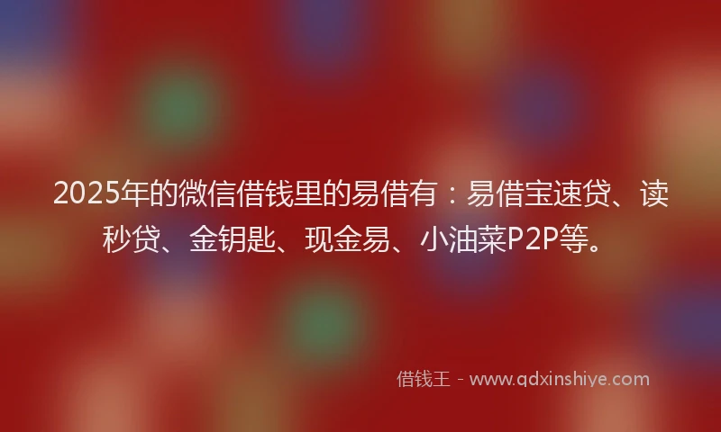 2025年的微信借钱里的易借有：易借宝速贷、读秒贷、金钥匙、现金易、小油菜P2P等。
