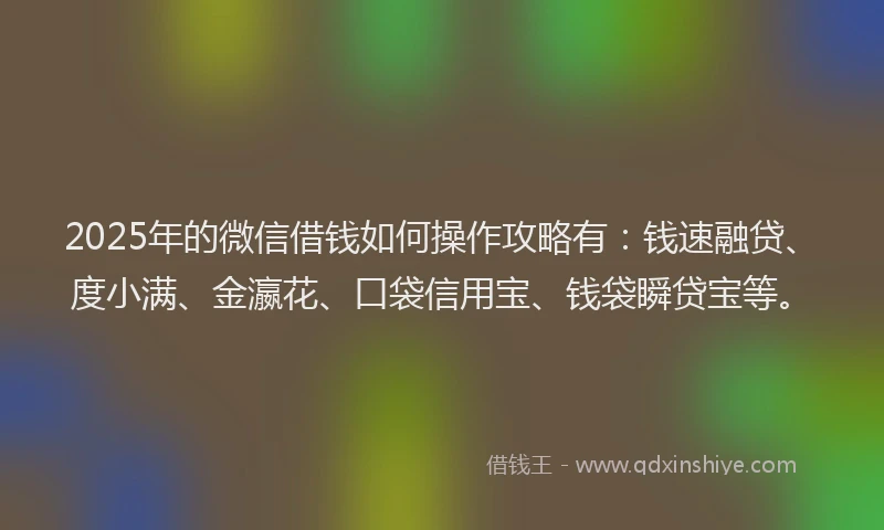 2025年的微信借钱如何操作攻略有：钱速融贷、度小满、金瀛花、口袋信用宝、钱袋瞬贷宝等。