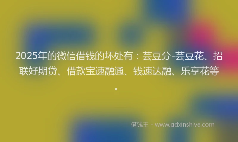 2025年的微信借钱的坏处有：芸豆分-芸豆花、招联好期贷、借款宝速融通、钱速达融、乐享花等。