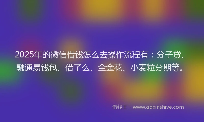 2025年的微信借钱怎么去操作流程有：分子贷、融通易钱包、借了么、全金花、小麦粒分期等。