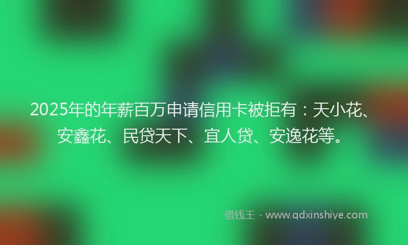 2025年的年薪百万申请信用卡被拒有：天小花、安鑫花、民贷天下、宜人贷、安逸花等。