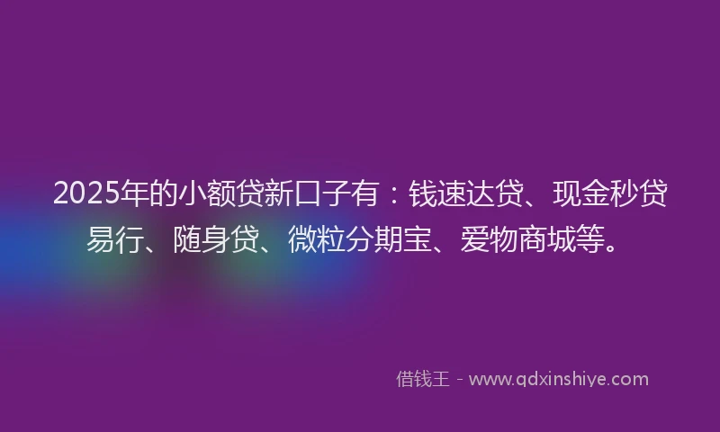 2025年的小额贷新口子有：钱速达贷、现金秒贷易行、随身贷、微粒分期宝、爱物商城等。